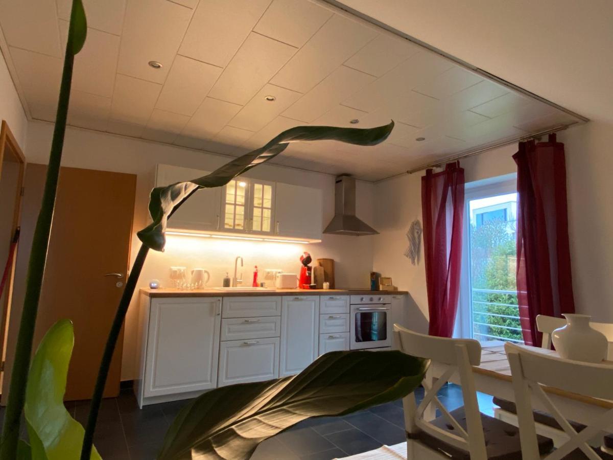 Moderne Ferienwohnung Seeblick Freudenberg  Exterior foto